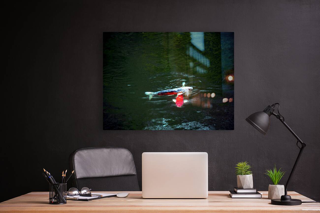 Playful Koi Reproduction