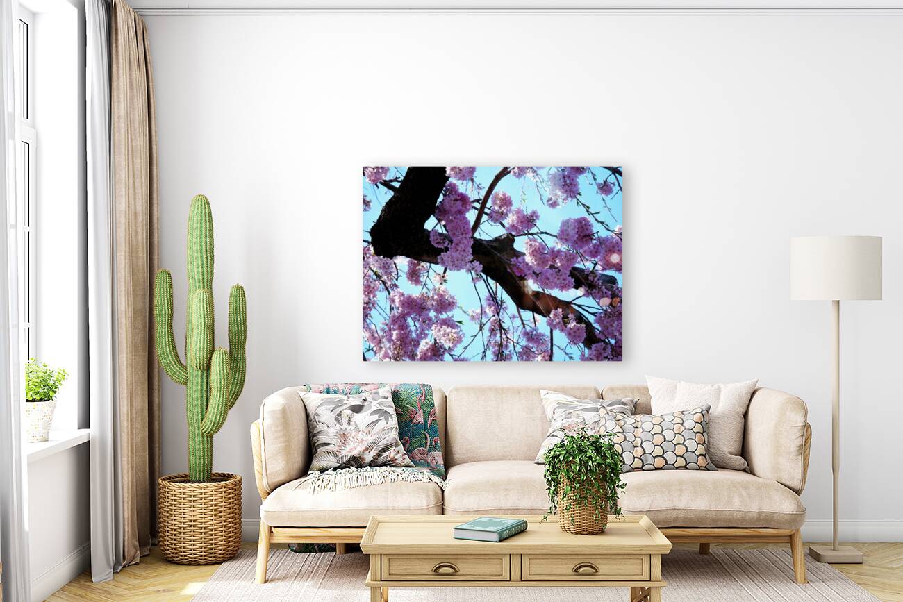 Cherry Blossom  Reproduction