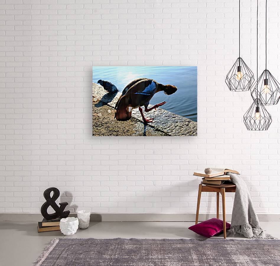 Is the Sky Falling...Just Checking Reproduction