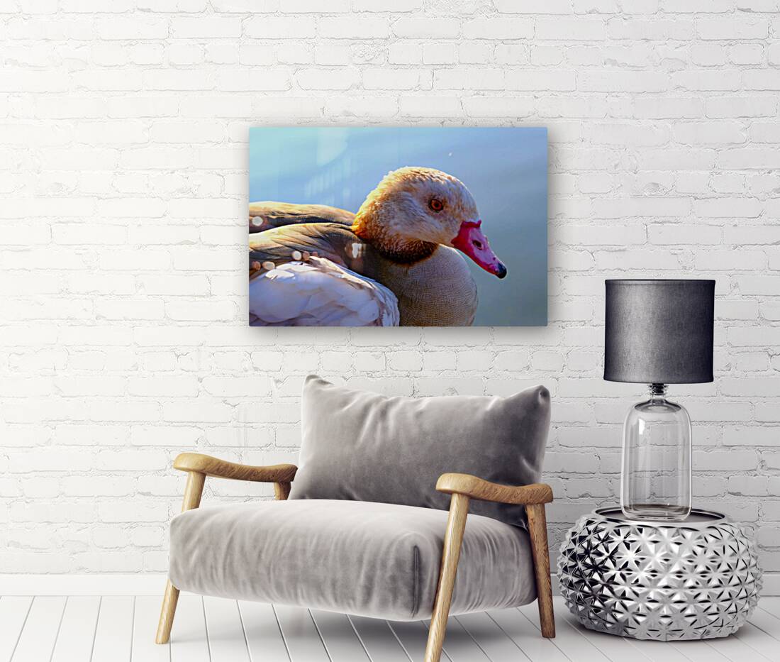 Duck Face 1B Reproduction