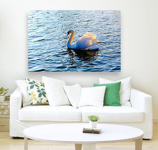 Silent Drift Reproduction