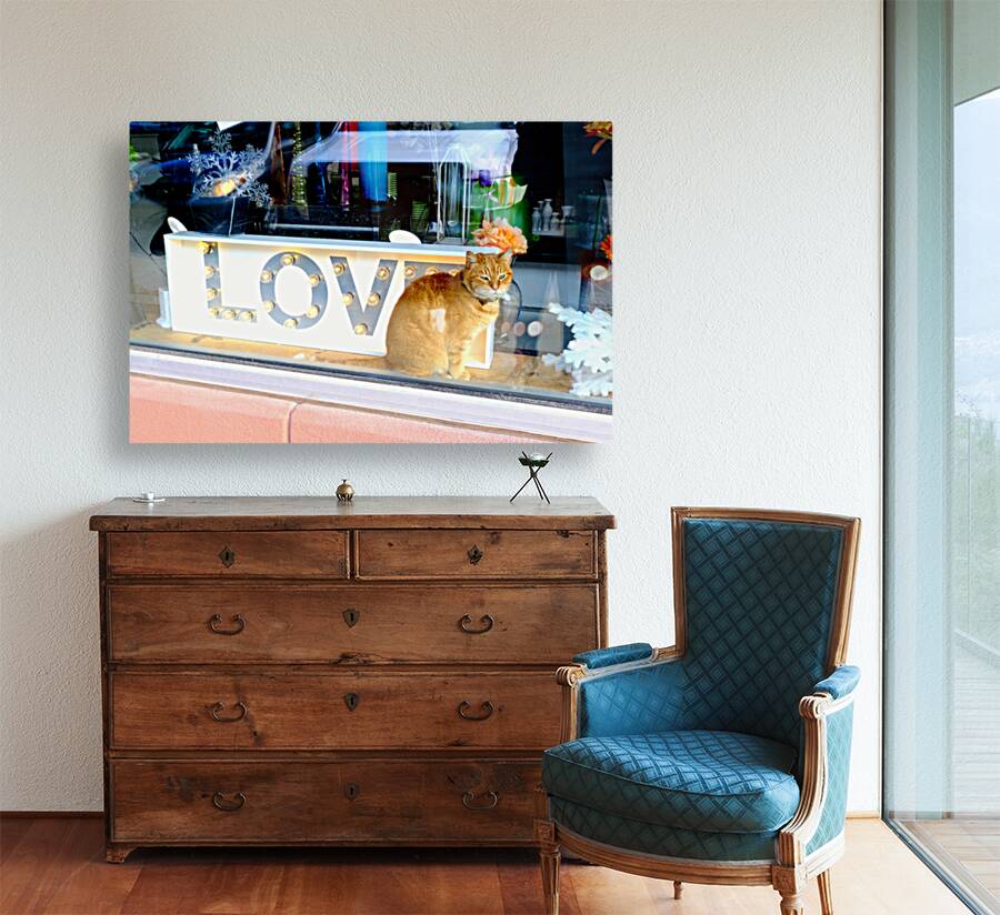 Window Watcher Reproduction