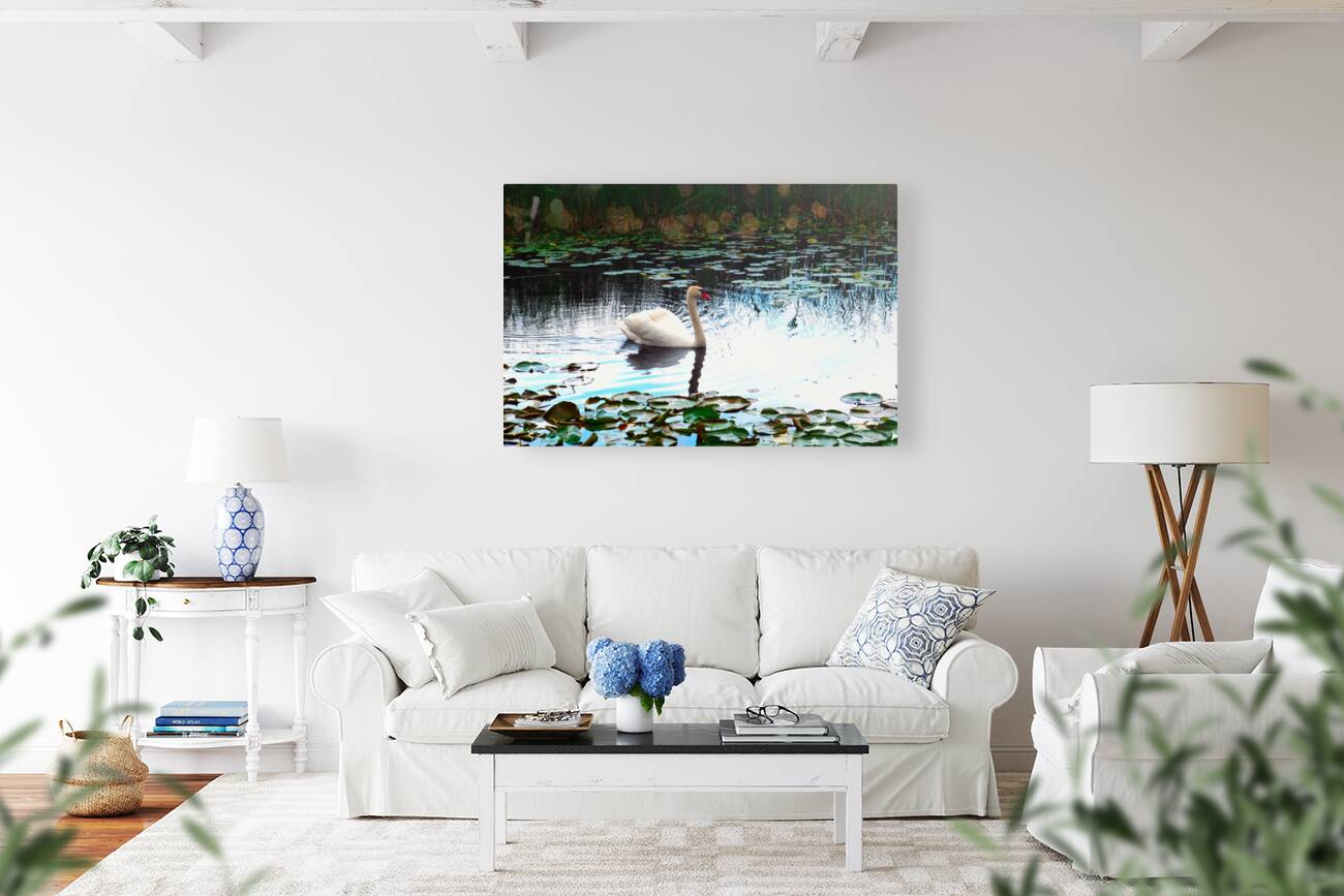 Silent Glide Reproduction