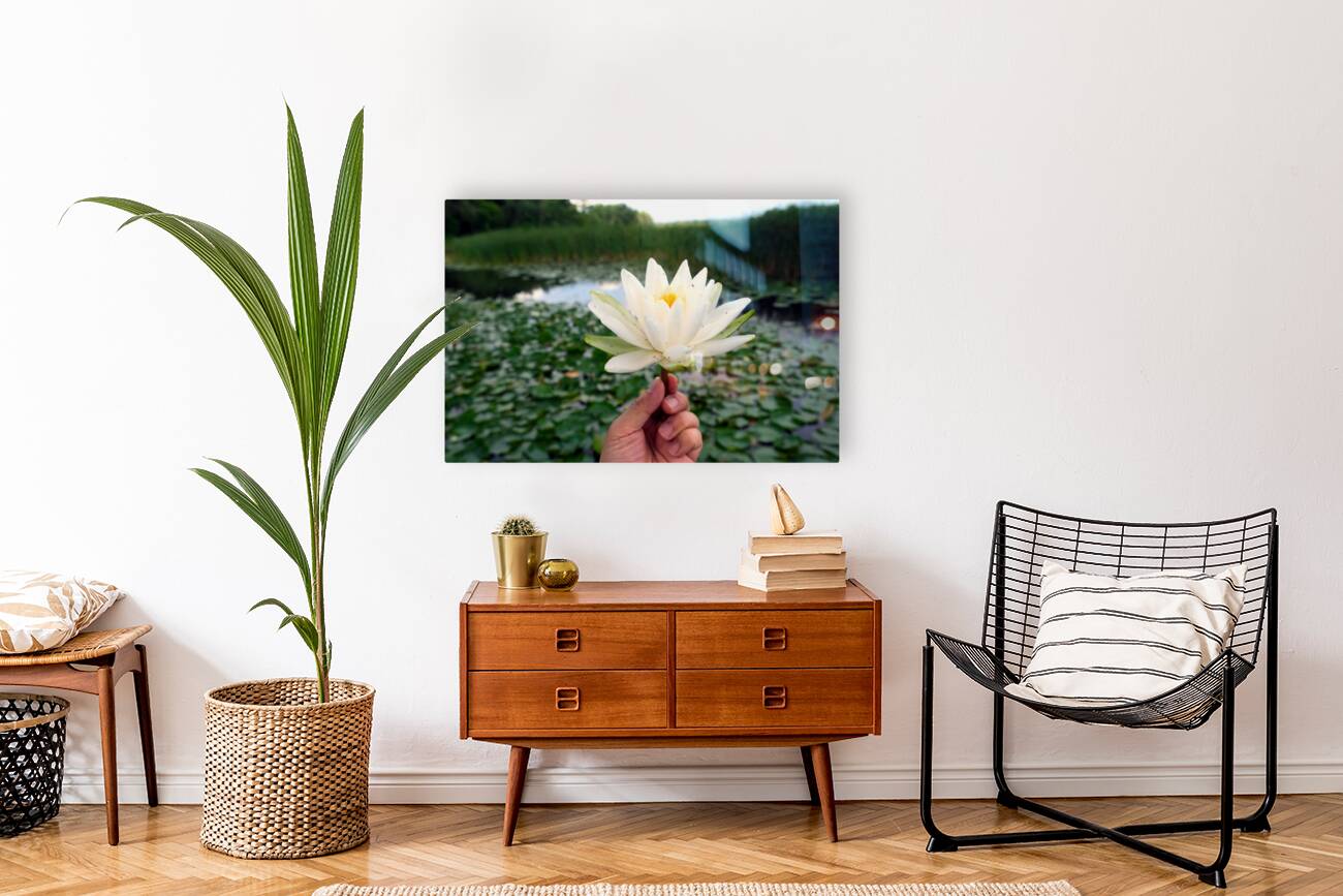 Lifting Beauty Reproduction