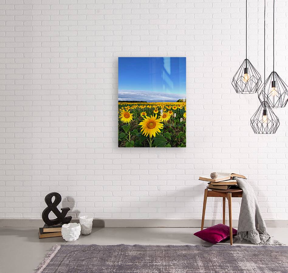 Fields of Joy Reproduction