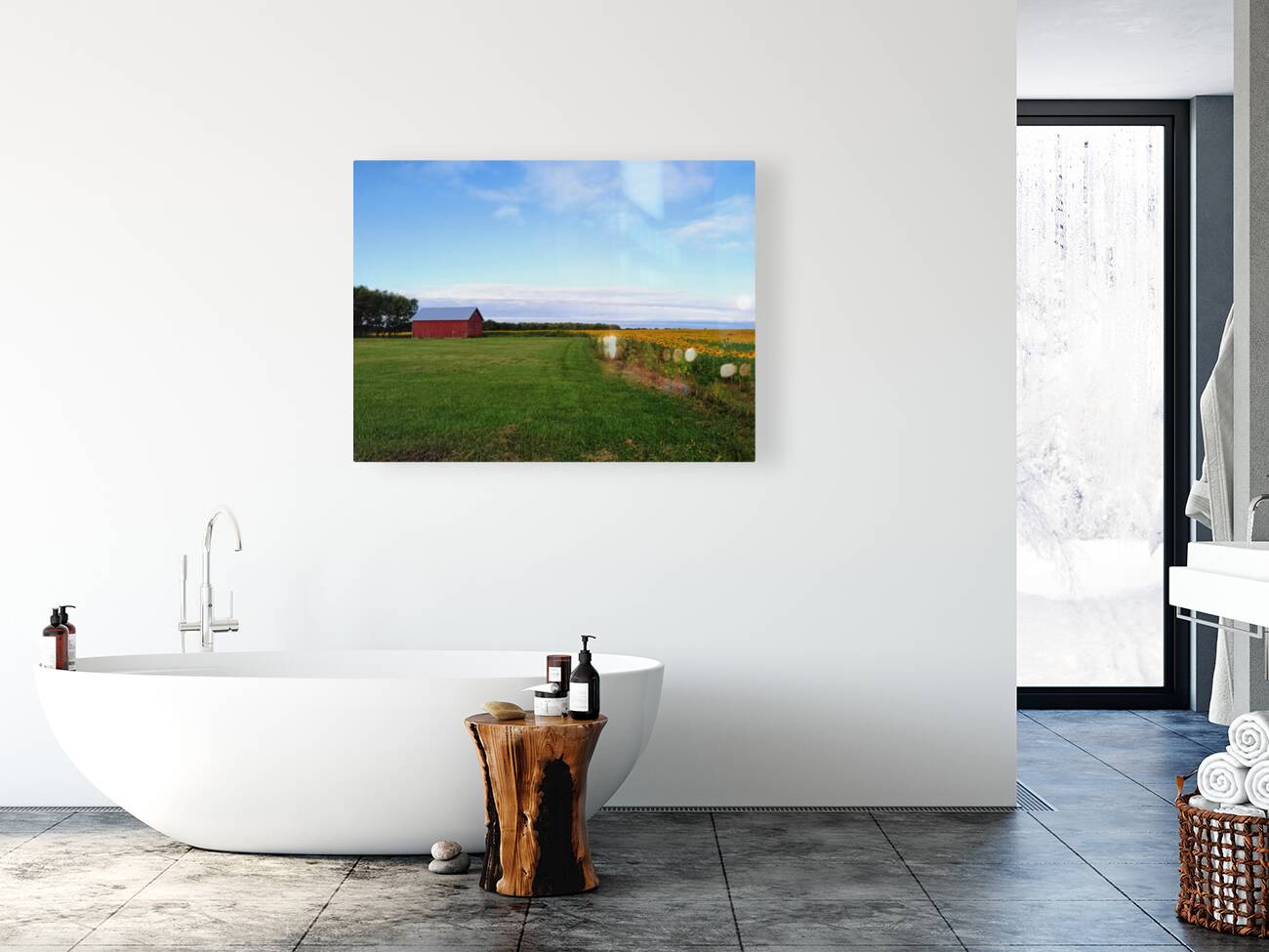 Raising Sunshine Sunflower Farm Reproduction