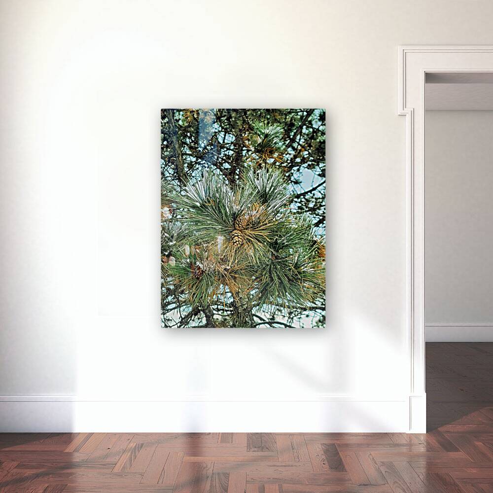  Frosted Pine Cones  Reproduction