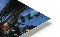 Between Palms and Possibility HD Metal print