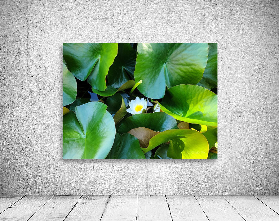 Lusty Lily: Beneath the Folds Wall Preview