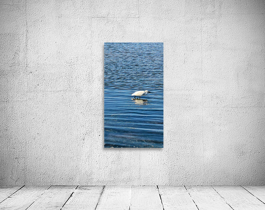 The Silent Hunt: A Lone Heron in Blue Wall Preview