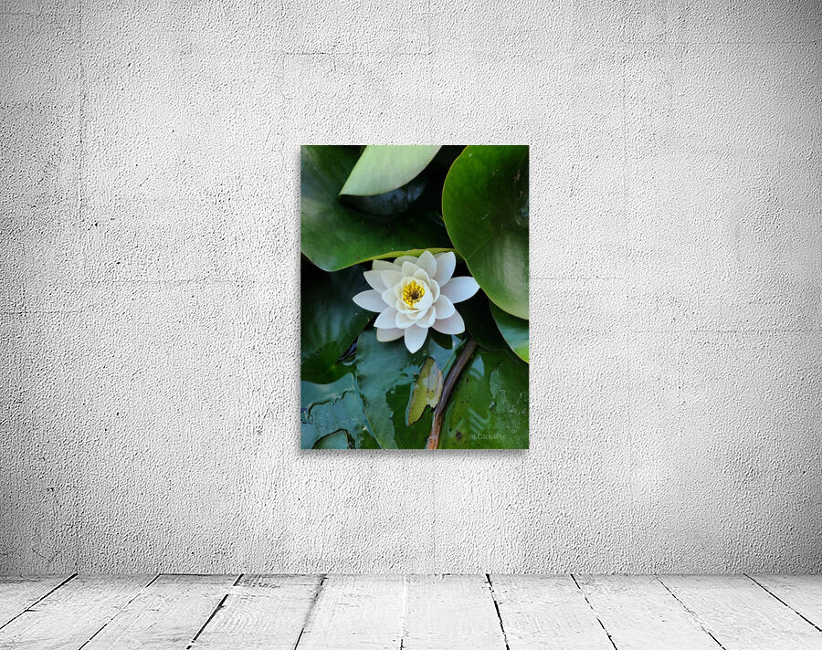 The Heart Within: Petals of Peace Wall Preview