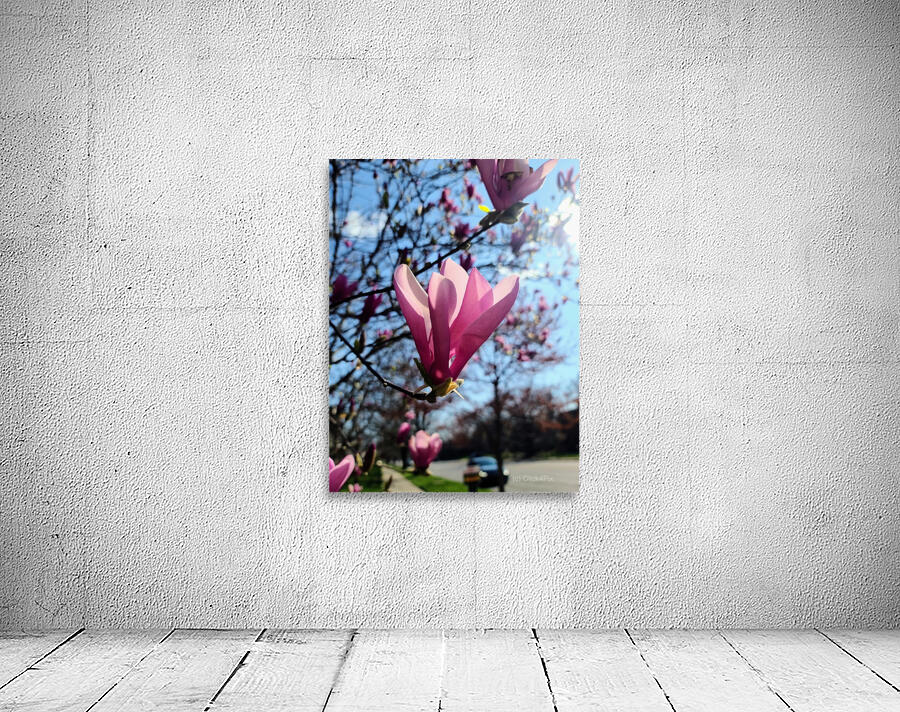 A Magnolia Moment in the Middle of Everything Wall Preview