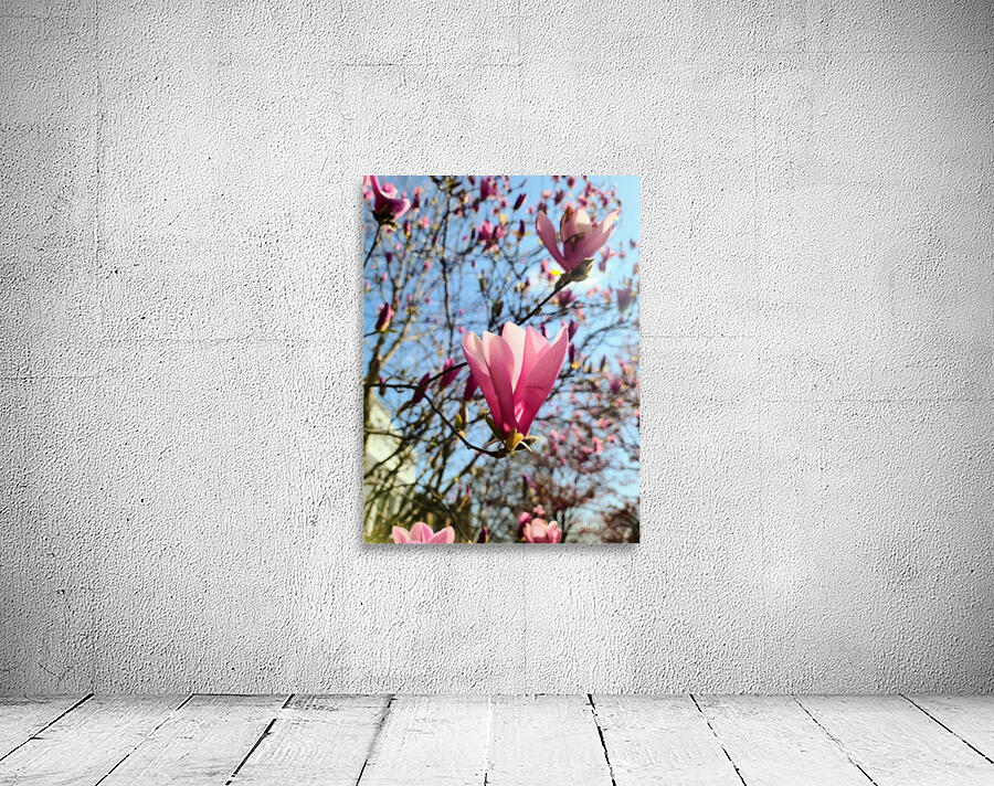 Spring Sun Worshipping Magnolia Wall Preview