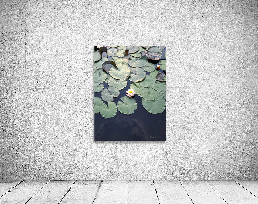 Blooms of Joy: Centered Among Giants Wall Preview