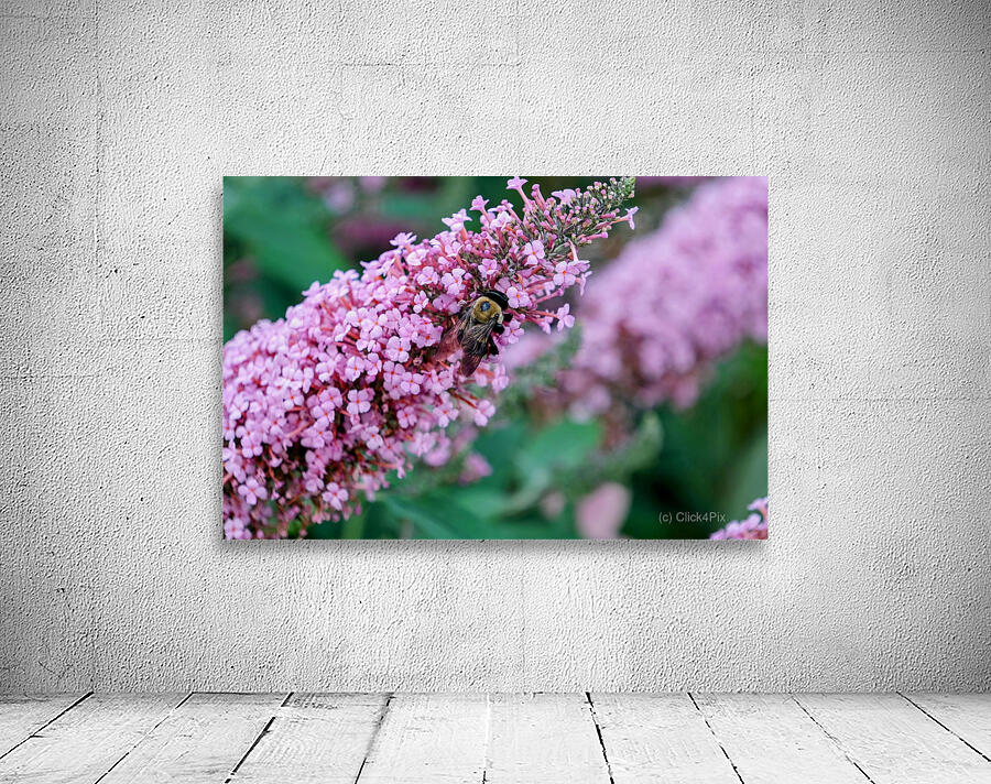 Sustaining Grace:  The Bee and the Butterfly Bush Wall Preview