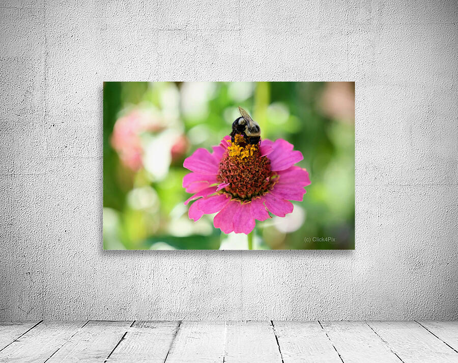 Petals and Purpose: An Ode to Quiet Industry Wall Preview