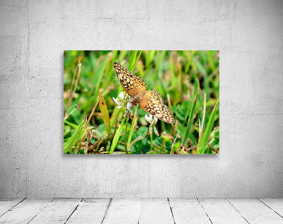 Field Cipher: A Nature Decoded Wall Preview