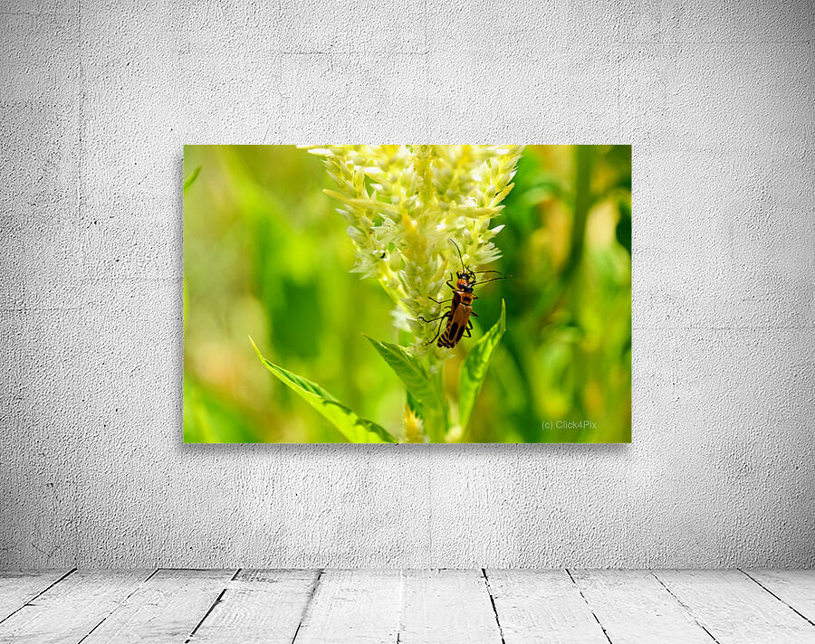 The Daylight Firefly: Guardian of the Green Flame Wall Preview