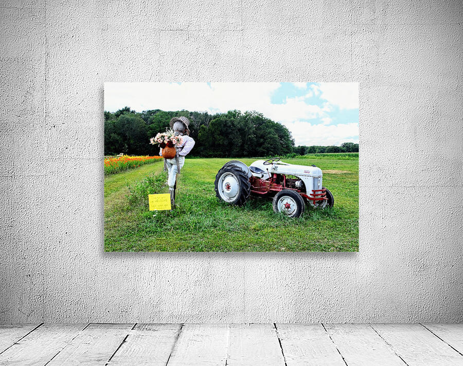Tractor and Scarecrow: Whimsy on the Windrows Wall Preview