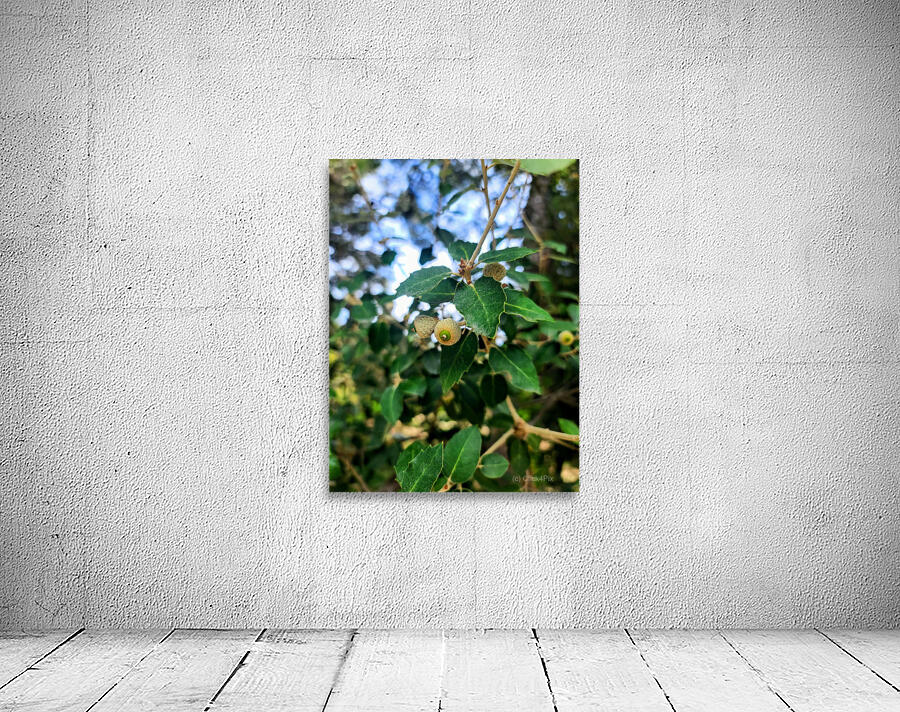 Emergence in Green Wall Preview