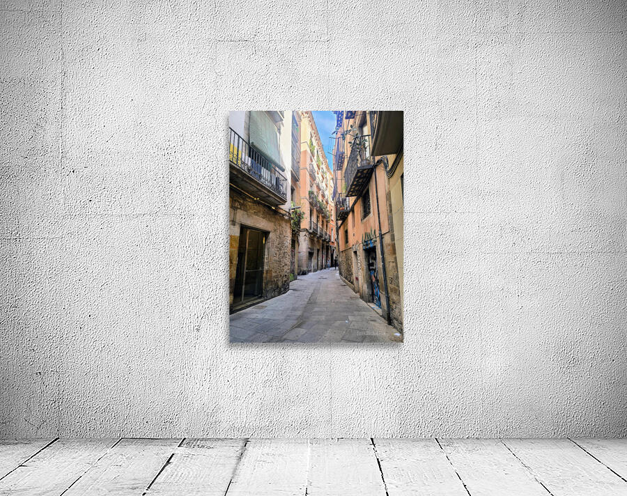 Streets of Barcelona: Where the Shadows Sleep Wall Preview