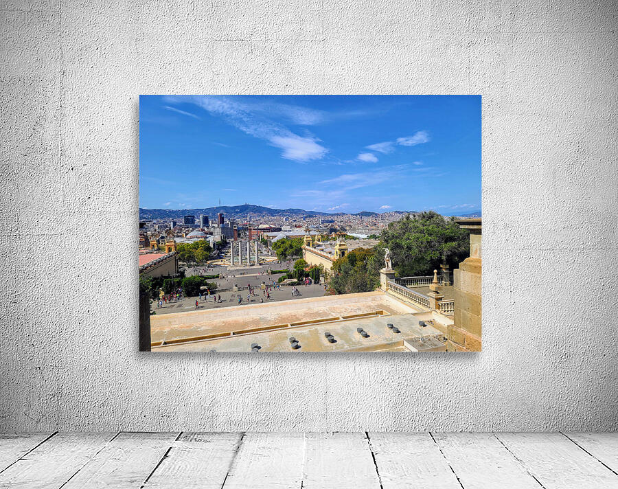 The Pulse of Catalunya: Barcelona View from Museum of Catalan Visual Arts Wall Preview