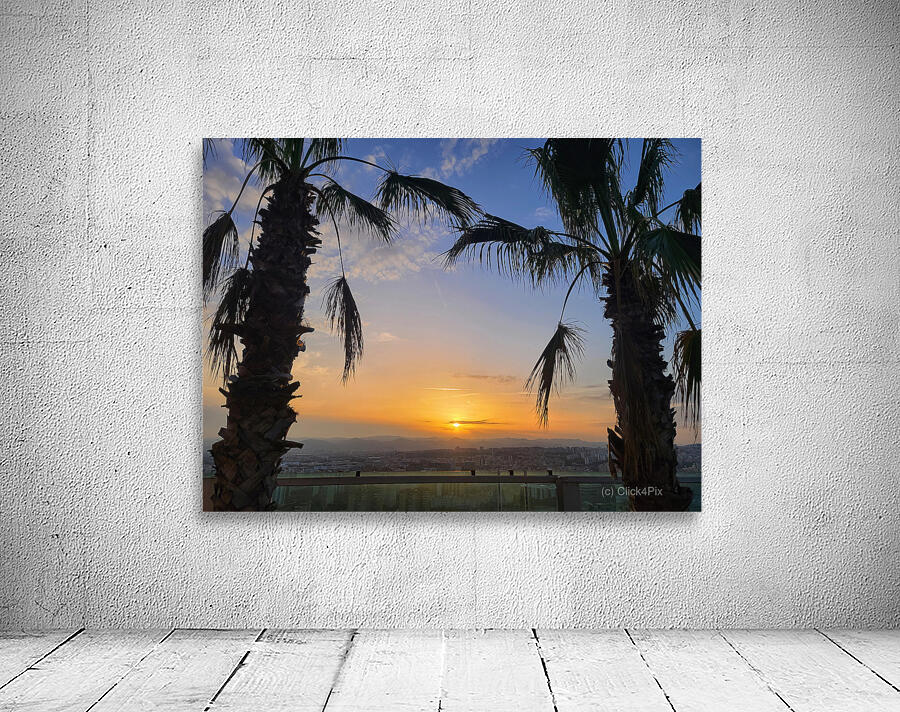 Between Palms and Possibility Wall Preview