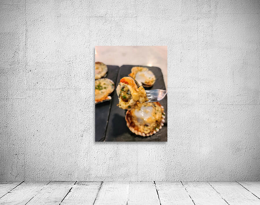 Shellbound Sonata Wall Preview