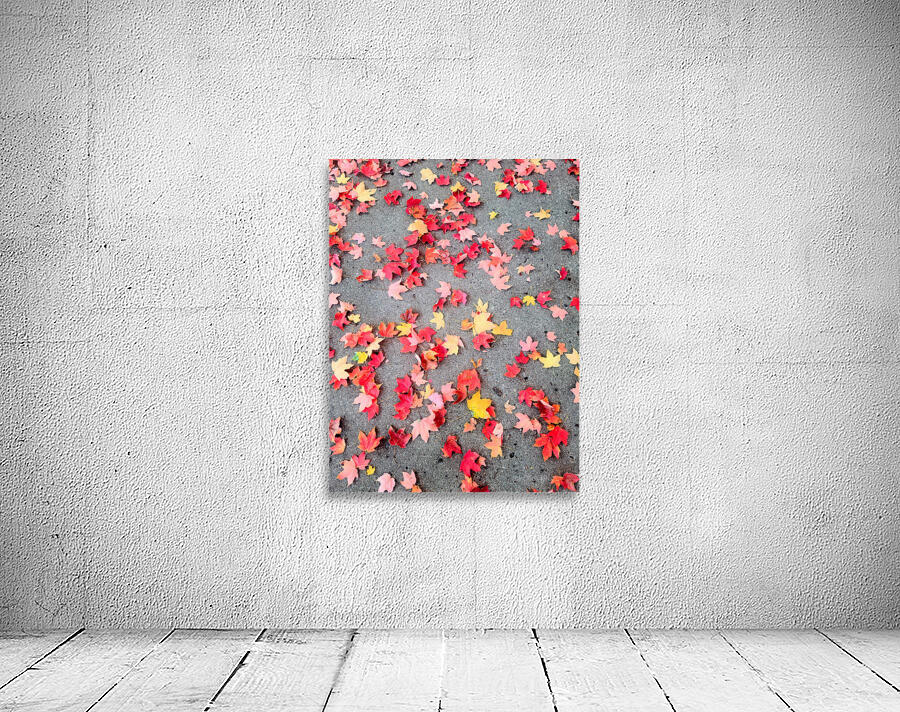 Colorful Fallen Beauties Wall Preview