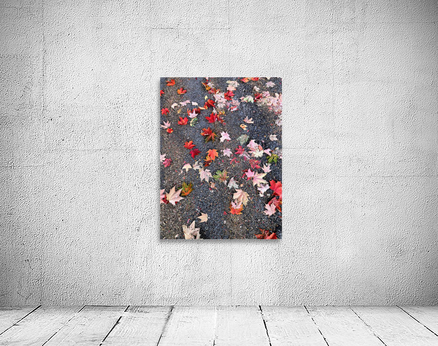 Grounded in Colors: Scattered Beauty Wall Preview