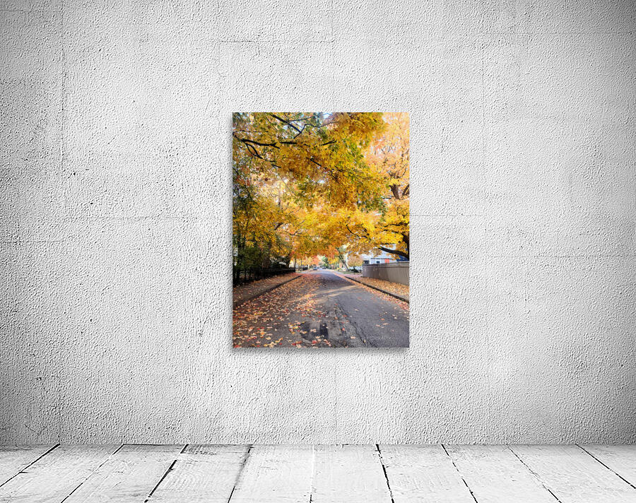 Fall Over the Road: Amber Dreams on Autumn Drive Wall Preview