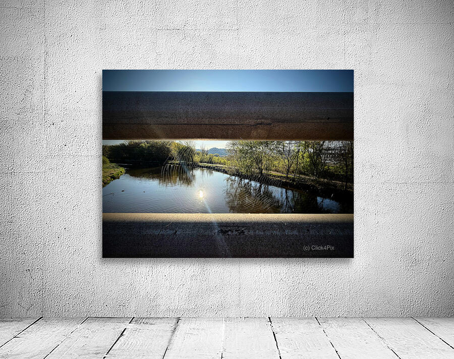 Spider Web on Bridge at Sunrise – Nature Framed in Stillness 2 Wall Preview