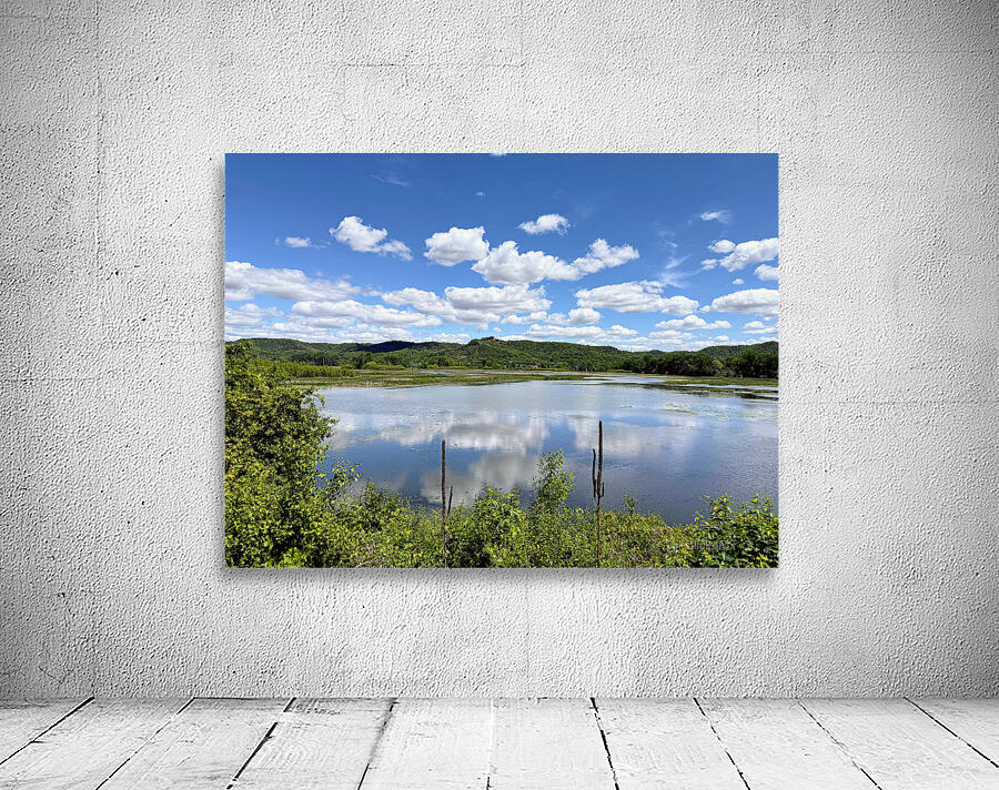 Serenity on the Surface Wall Preview