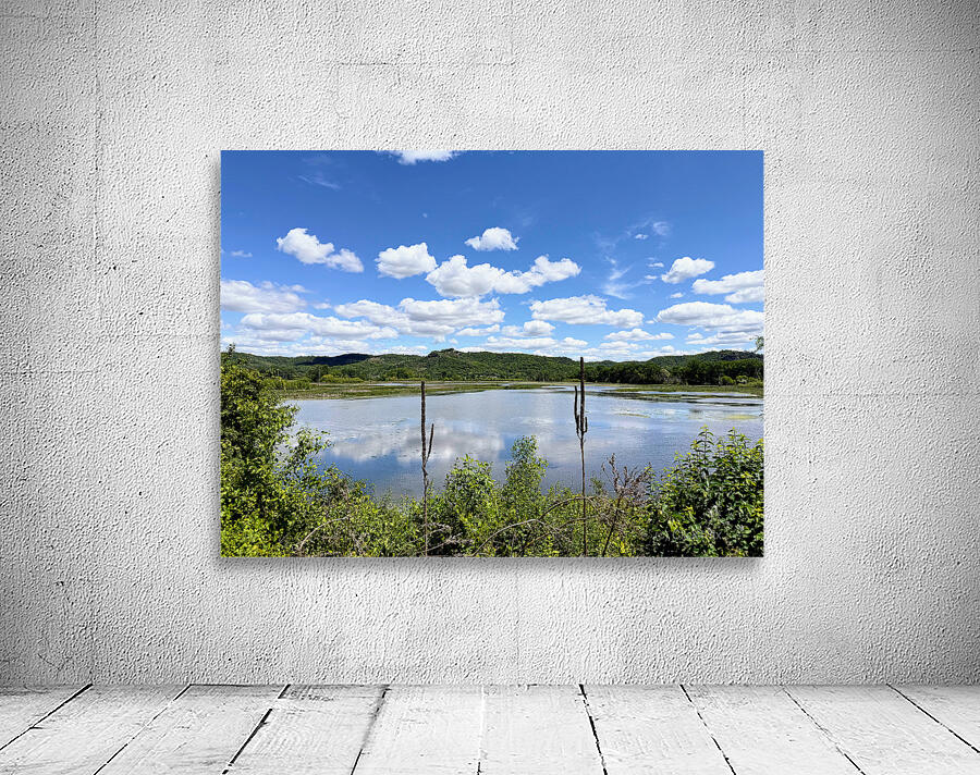 Into the Wild Blue Wall Preview