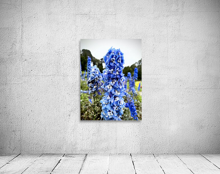 Blue Spire in Bloomstorm: Larkspur Wall Preview