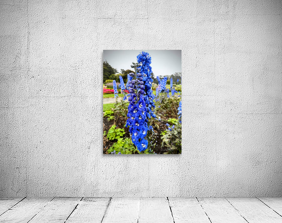 Larkspur: Midnight Choir of the Garden Realm Wall Preview