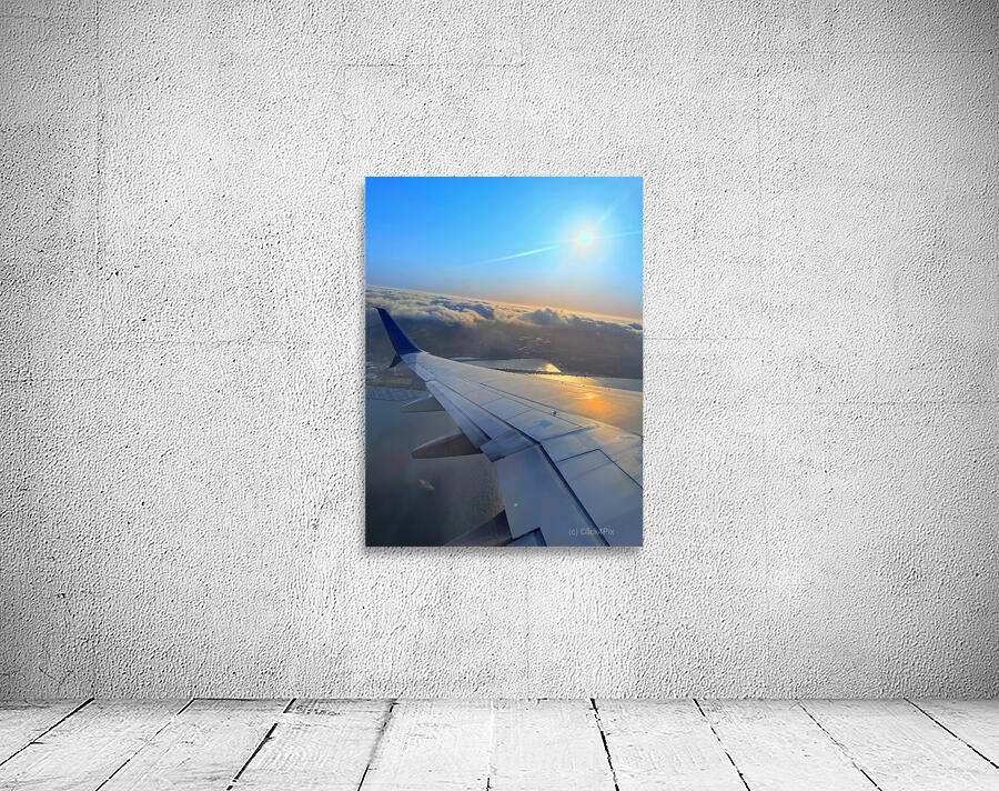 Wings over SF: Above the Quiet Kingdom Wall Preview