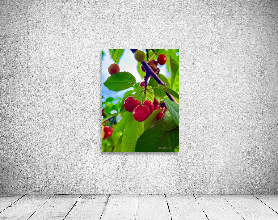 Ripening Moments Under Summer’s Veil Wall Preview