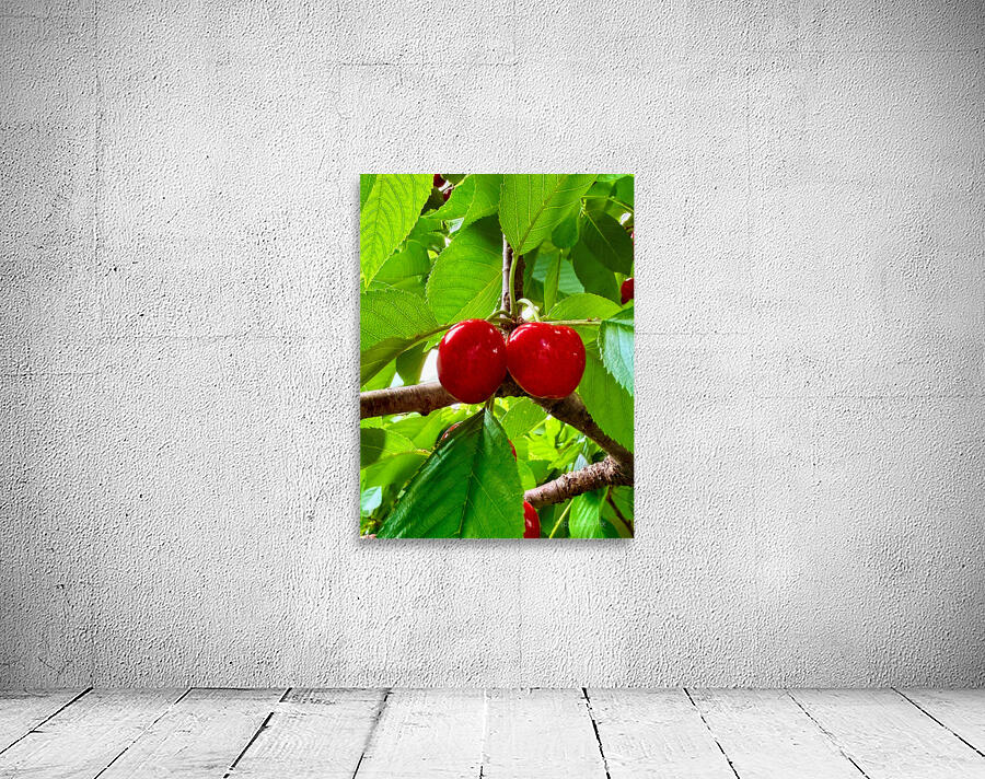 Twin Suns on the Orchard Axis Wall Preview