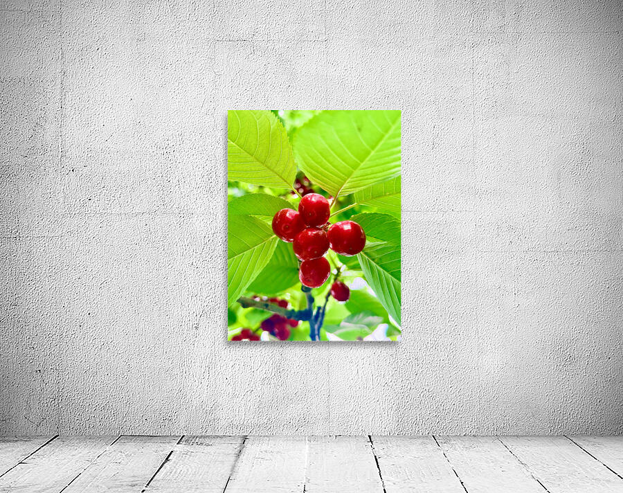 Scarlet Clusters of Abundance Wall Preview