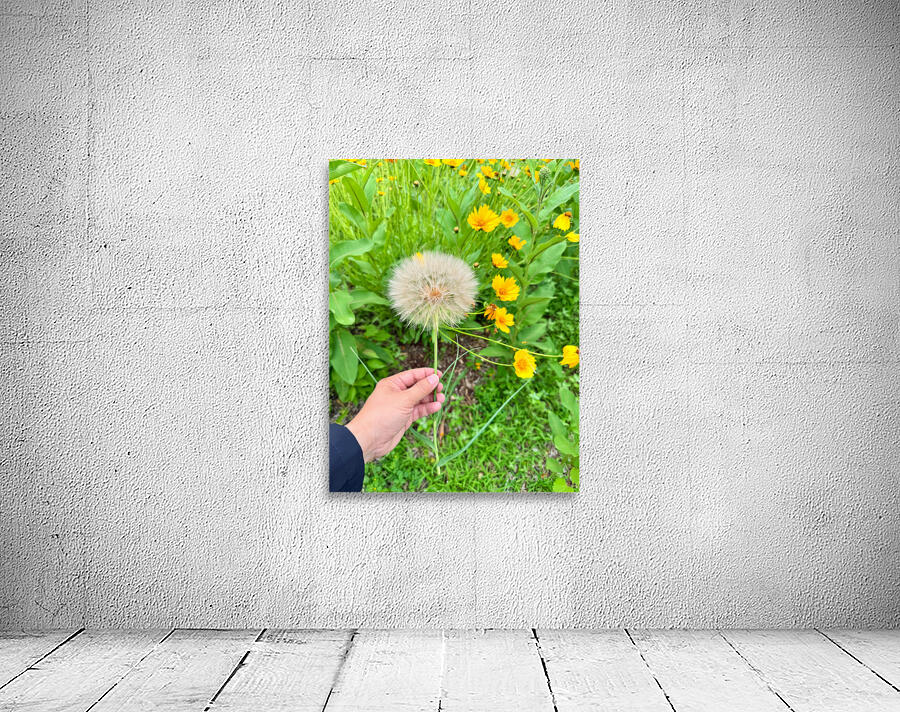 Cartography of a Wish Wall Preview