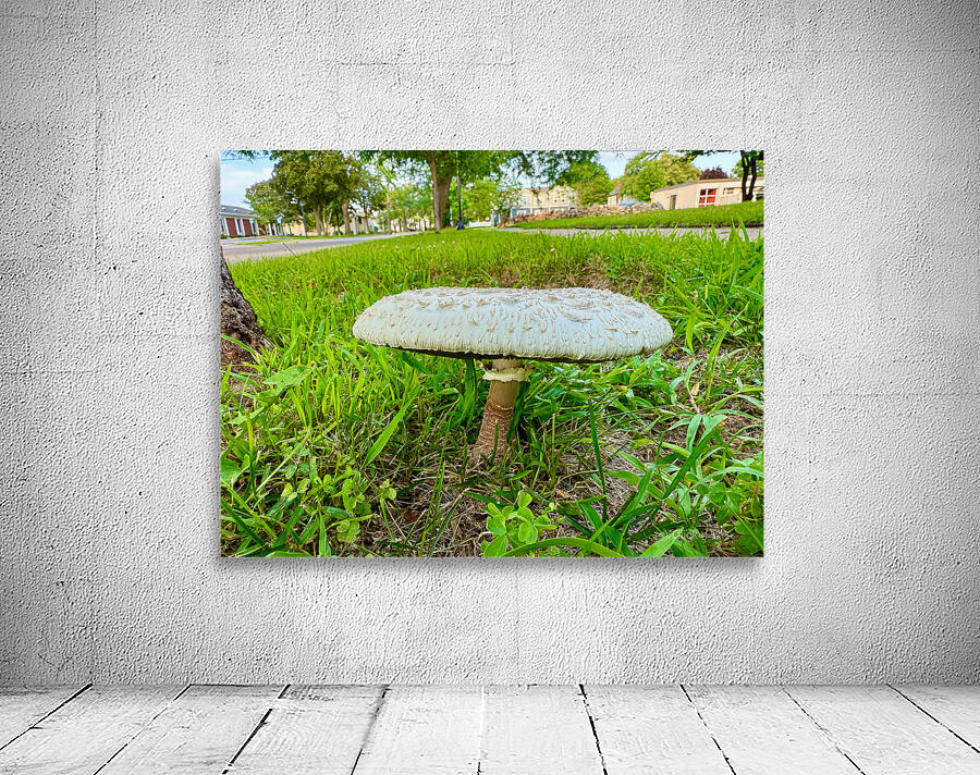 Capstone of the Lawn Wall Preview