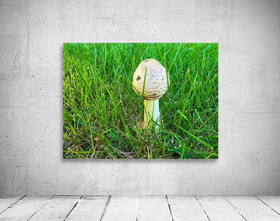 A Quiet Uprising from Below Wall Preview