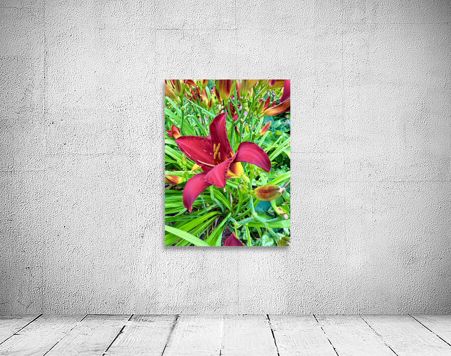 Royal Daylily Portrait Wall Preview