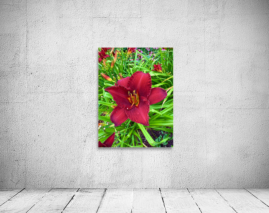 Garden Spotlight Wall Preview