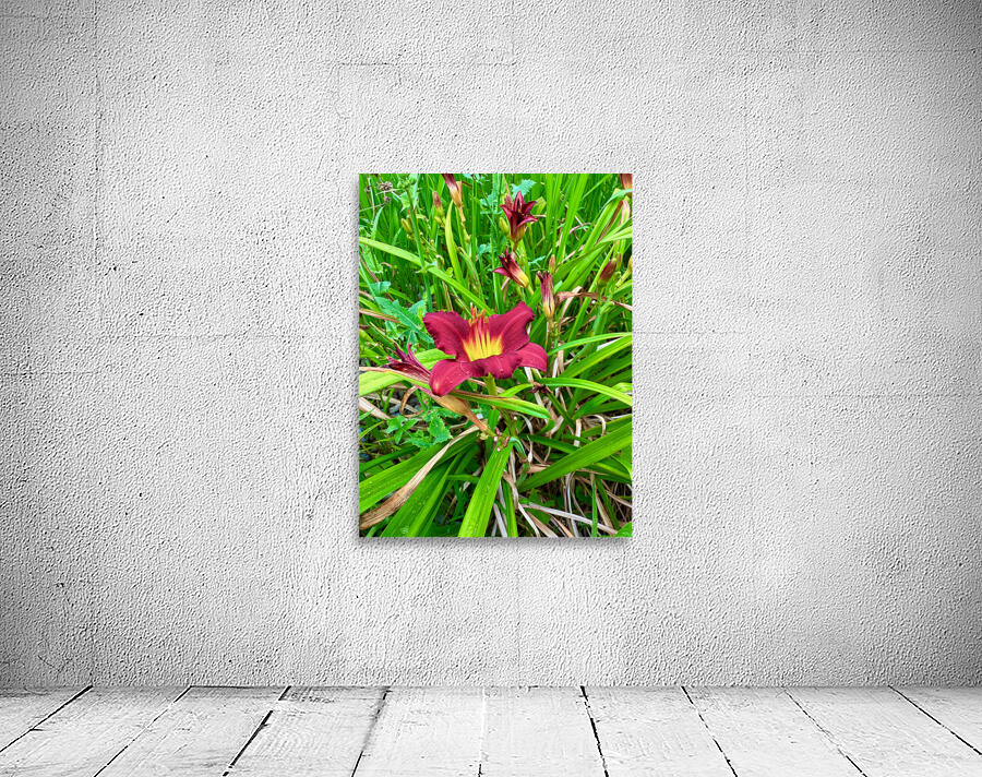 Burgundy Muse Wall Preview