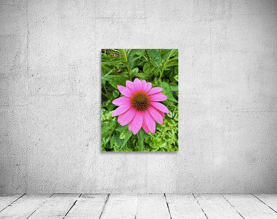 Pink Serenity Wall Preview