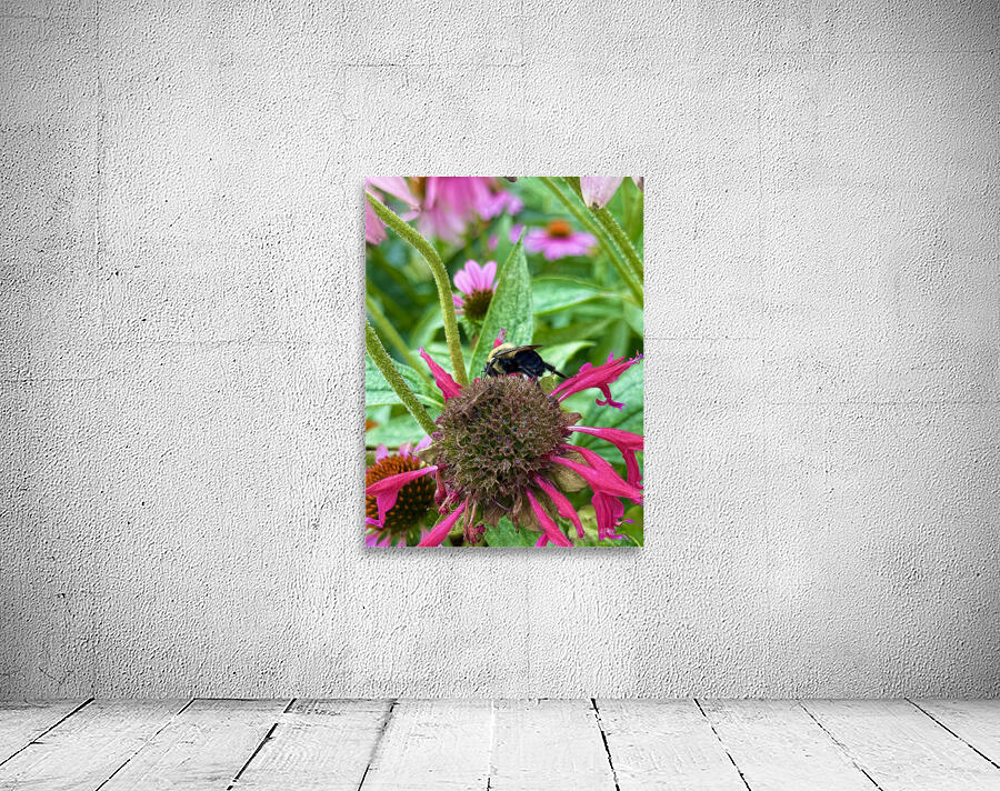 Fading Glory Last Harvest Wall Preview