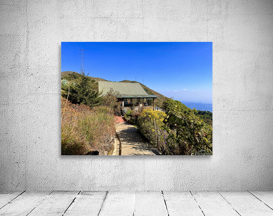 IMG 9695 Wall Preview