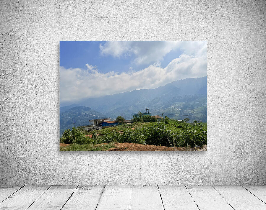 IMG 9268 Wall Preview